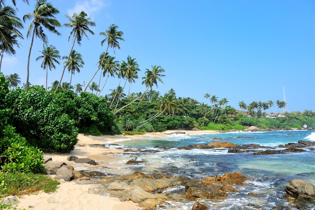 Apply for Sri lanka visa - Beaches of Sri lanka