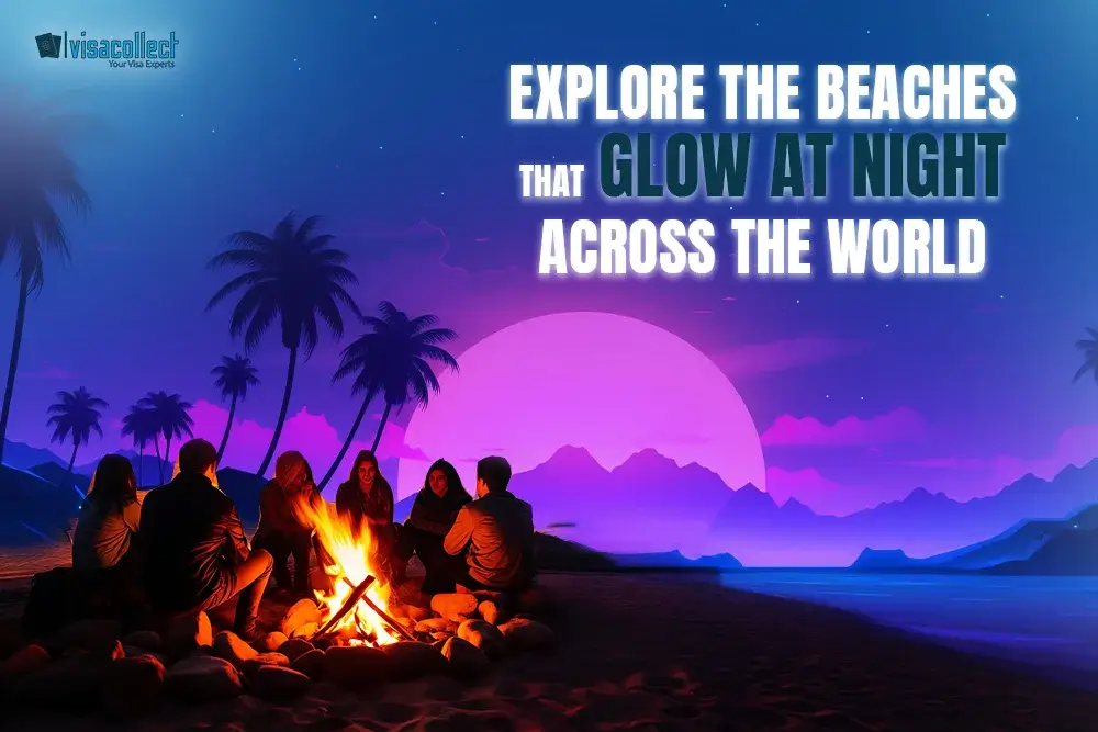 Explore the Beaches that Glow at Night across the world | VisaCollect